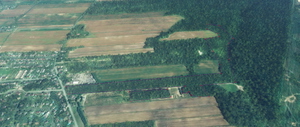 Montreal water and foliage cleanup thumbnail 2