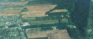Montreal water and foliage cleanup thumbnail 3