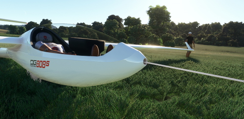 MSFS glider animations for the touchingcloud-dg808s
