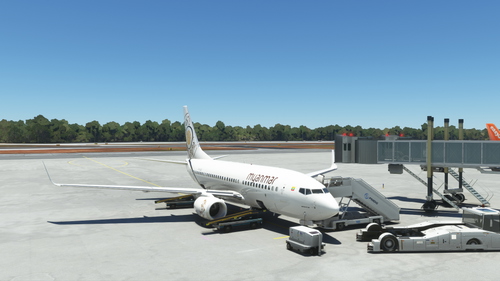 Myanmar National Airline | PMDG B737-700