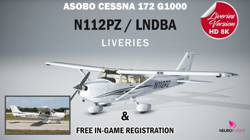 N112PZ and LNDBA liveries for Asobo C172 G1000