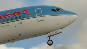 Neos (EI-HIL & -HIM, I-NEOZ) - PMDG 737-800 thumbnail 5