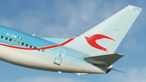 Neos (EI-HIL & -HIM, I-NEOZ) - PMDG 737-800 thumbnail 7