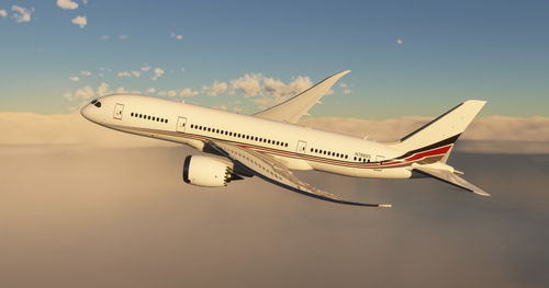 NetJets Kuro B787-8