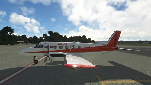 NG Bandeirante EMB119P1 Talair P2-RDP repaint request