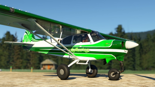 NX Cub RTMM livery