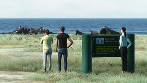 NZKI - Kaikoura Airport (Custom-made scenery) thumbnail 18