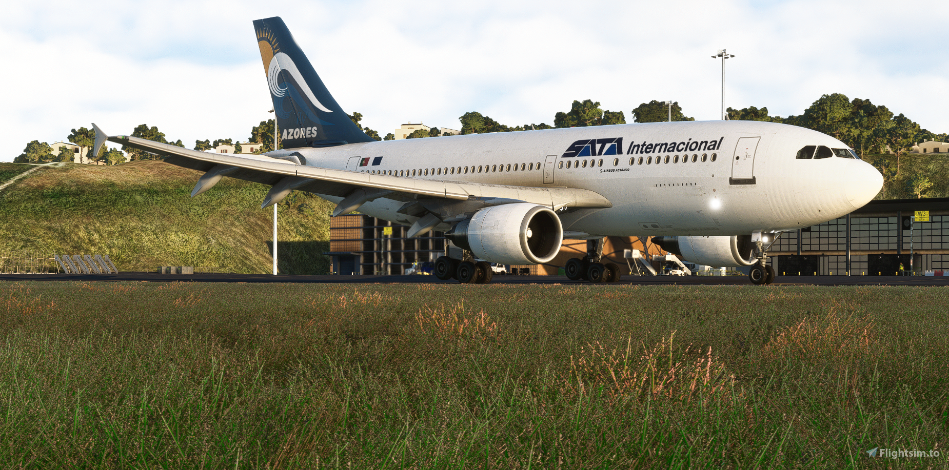 OLD SATA internacional A310 Livery (CS-TGV) - Aircraft Liveries