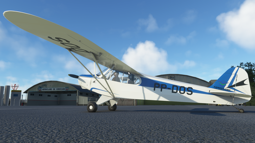 PA-11_Cub Special_PP-DOS