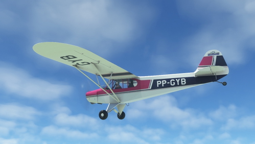 PA-11_Cub Special_PP-GYE