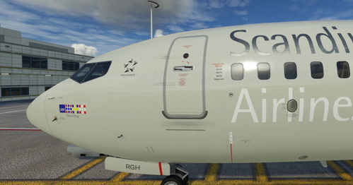 Paint PMDG 737-800 Scandinavian Airlines (LN-RGH Odvar Viking) 
