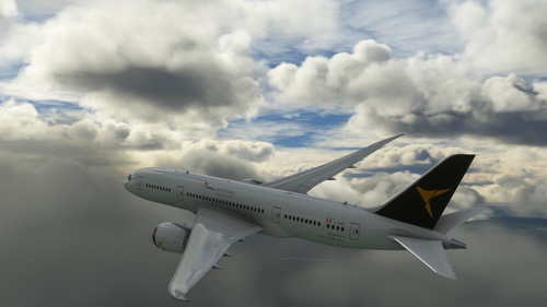 Pal airline 787-8