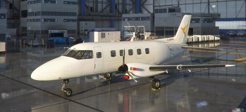 PAL Airlines EMB-110P1 [Next Gen]