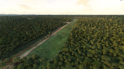 Pamol Airstrip
