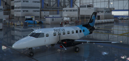 Pascan EMB-110P1 [NextGen]