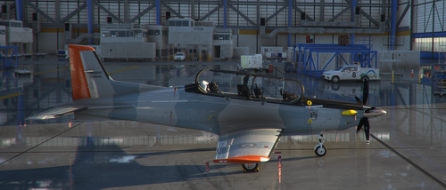 PC21 IRIS Pilatus  Argentine Air Force, low visibility from Tucano Military Aviation School.