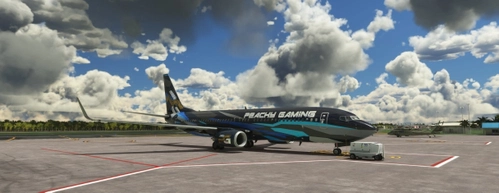 PEACHY GAMING PMDG B737-800 FICTIONAL LIVERY