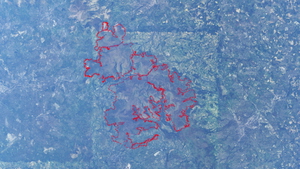 Peak District National Park scenery corrections (tree fix) thumbnail 5