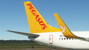 Pegasus Airlines PMDG 737-800 MSFS Pack thumbnail 1