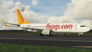Pegasus Airlines PMDG 737-800 MSFS Pack thumbnail 4