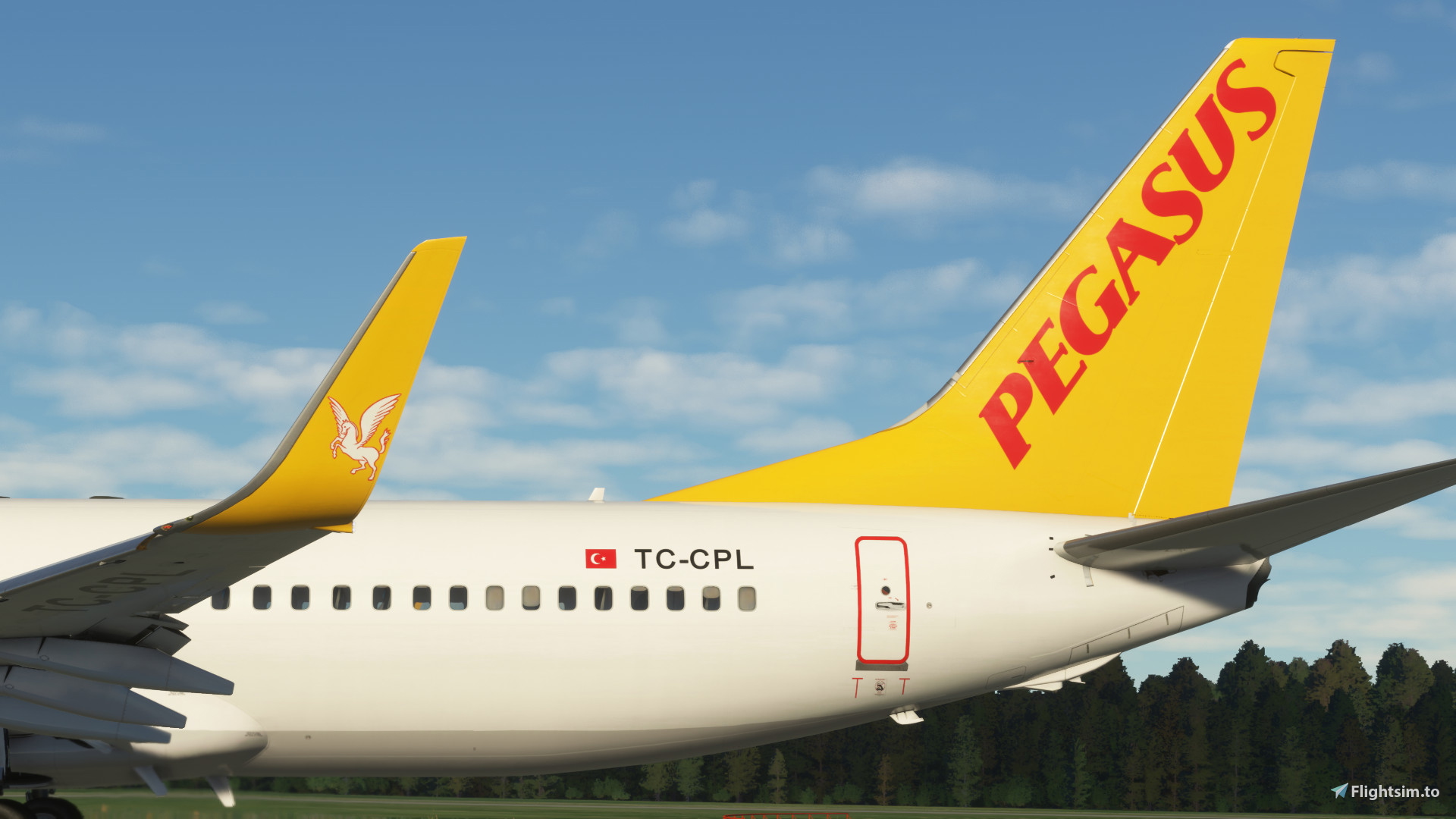 Pegasus (2-Pack) - PMDG 737-800 - Image 1
