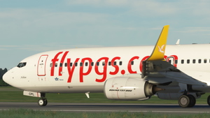 Pegasus (2-Pack) - PMDG 737-800 thumbnail 2