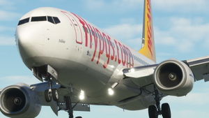 Pegasus (2-Pack) - PMDG 737-800 thumbnail 3