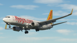 Pegasus (2-Pack) - PMDG 737-800 thumbnail 4