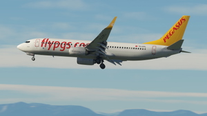 Pegasus (2-Pack) - PMDG 737-800 thumbnail 5