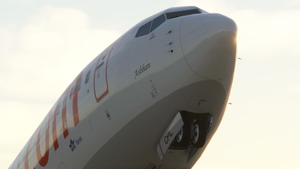 Pegasus (2-Pack) - PMDG 737-800 thumbnail 6