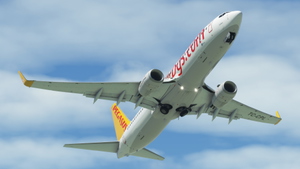 Pegasus (2-Pack) - PMDG 737-800 thumbnail 7