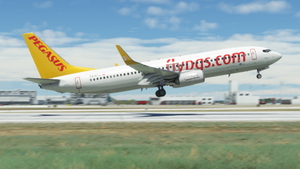 Pegasus (2-Pack) - PMDG 737-800 thumbnail 8