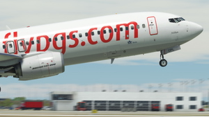 Pegasus (2-Pack) - PMDG 737-800 thumbnail 9