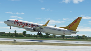 Pegasus (2-Pack) - PMDG 737-800 thumbnail 10