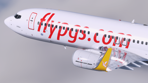 Pegasus (2-Pack) - PMDG 737-800 thumbnail 12