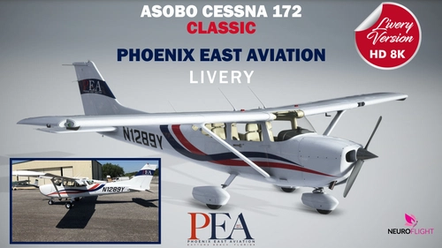 PHOENIX EAST AVIATION livery for Asobo Cessna 172 Classic version , registration N1289Y [8K]