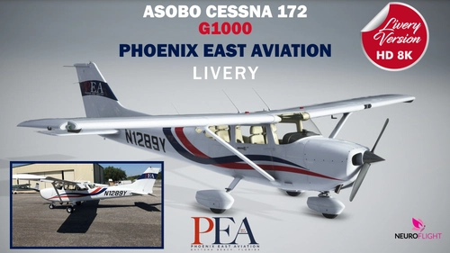 PHOENIX EAST AVIATION livery for Asobo Cessna 172 G1000 , registration N1289Y [8K]