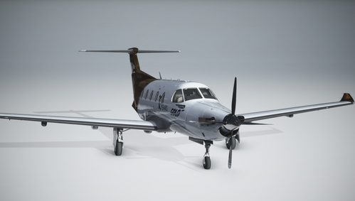 Pilatus PC-12 - Gold Virtual Airlines 10 Years