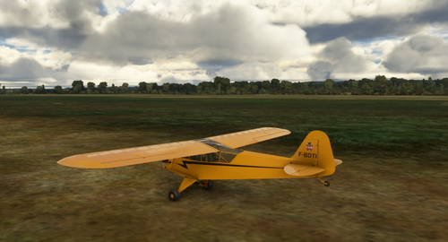 Piper L-4 Grasshopper F-BDTI