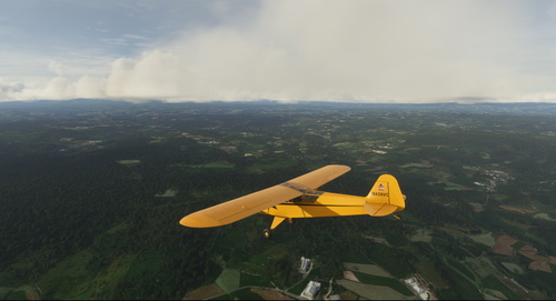 Piper L-4 Grasshopper N439VC