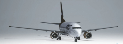 PMDG 737-600 - Gold Virtual Airlines - 10 Years