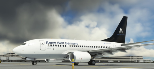 PMDG 737-600 Snow Wolf Germany