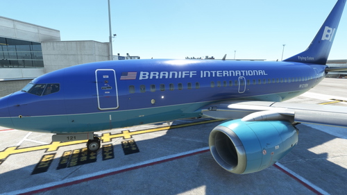 PMDG 737-600 BRANIFF PACK (ORANGE, GREEN, BLUE)