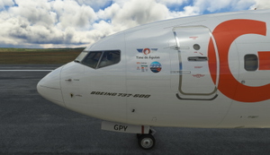 PMDG 737-600 Gol Linhas Aereas PS-GPY thumbnail 3
