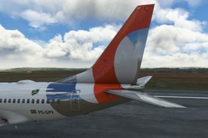 PMDG 737-600 Gol Linhas Aereas PS-GPY thumbnail 7