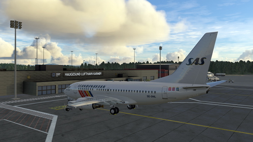 PMDG 737-600 paint for Microsoft Flight Simulator in SAS SE-DNL (Anno 1992)