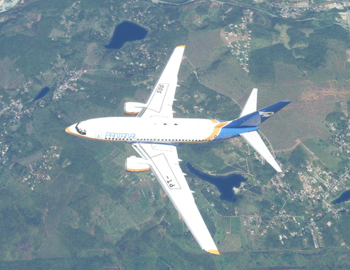 PMDG 737-600 Pantanal "Vintage" PT-SOG