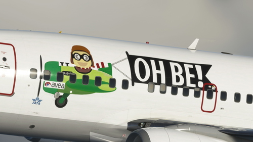 PMDG 737-600 Pegasus TC-AAG-Ho Be!