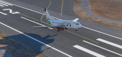 PMDG 737-600 VIVA AEROBUS / Boeing 737-300 XA-VIY (MEXICO)