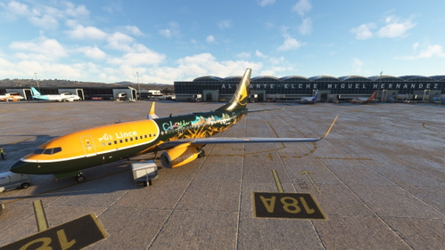 PMDG 737-700 Air Lince (EC-VAD Alicante)